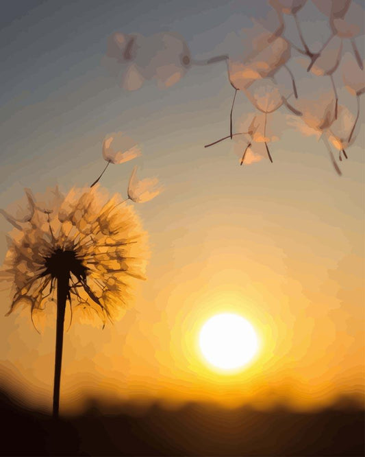 Paint by numbers - Dandelion at Sunset | Paint by Numbers
