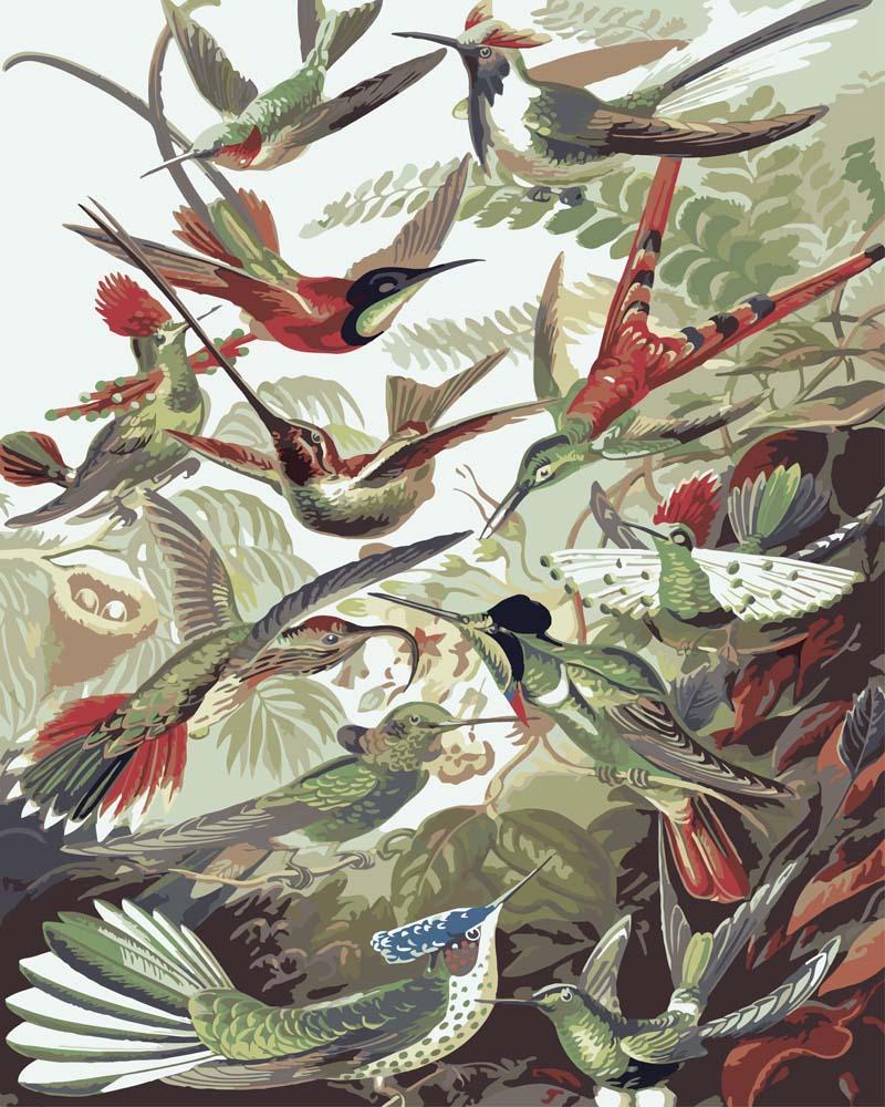 Hermann Vogel Album イラスト 画集 Hummingbirds Trochilidae by Ernst Haeckel | Paint by Numbers