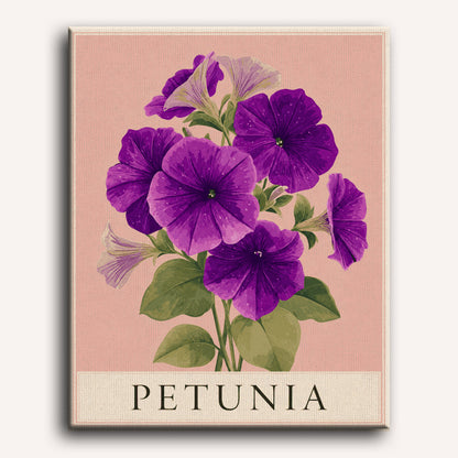 Petunia | Paint by Number