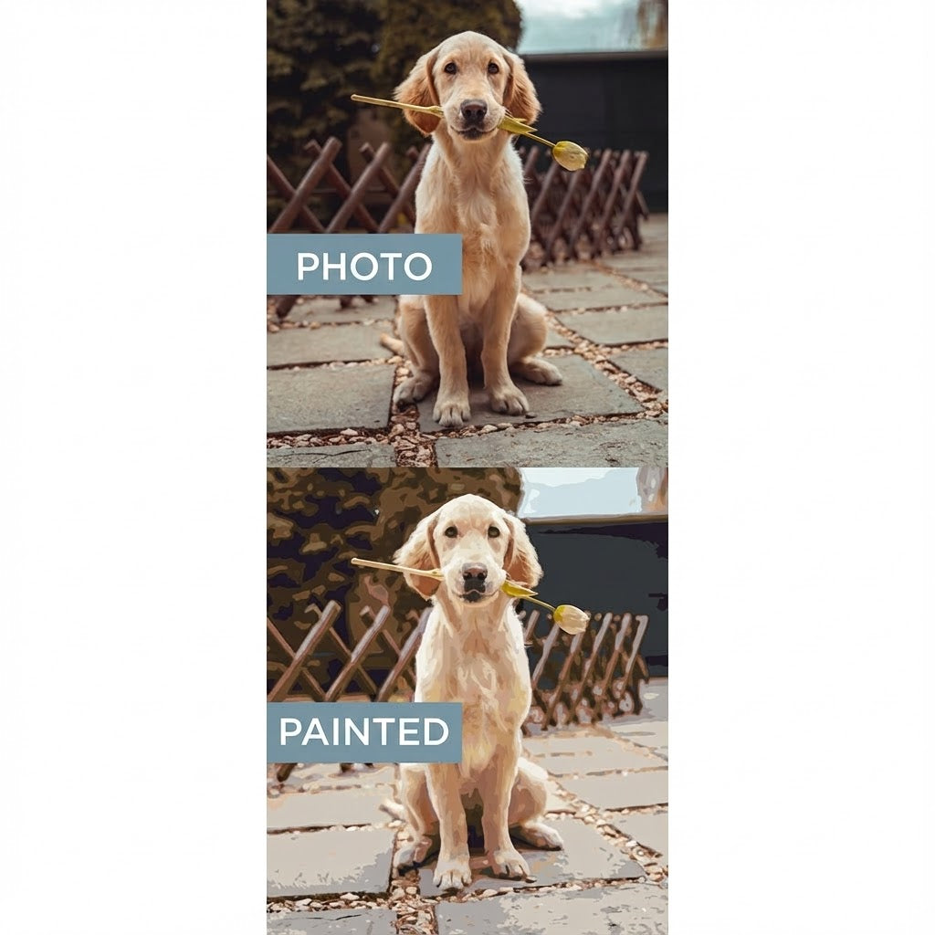 Custom Kit | Paint by Numbers
