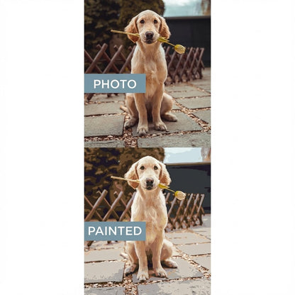 Custom Kit | Paint by Numbers