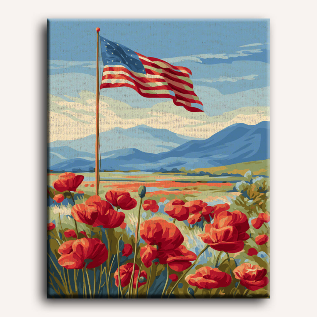 Poppy field | Paint by Number