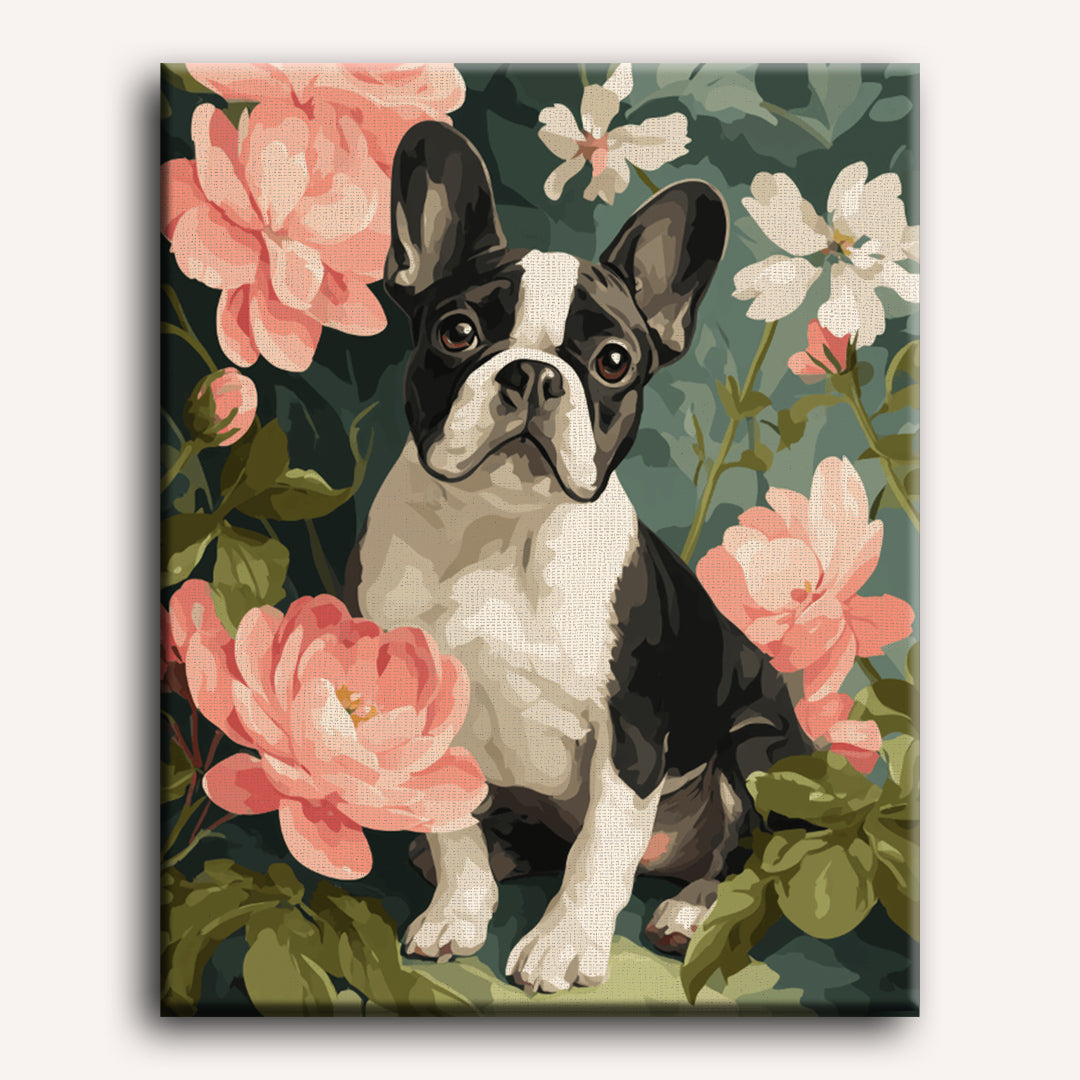 Portrait of French | Paint by Number