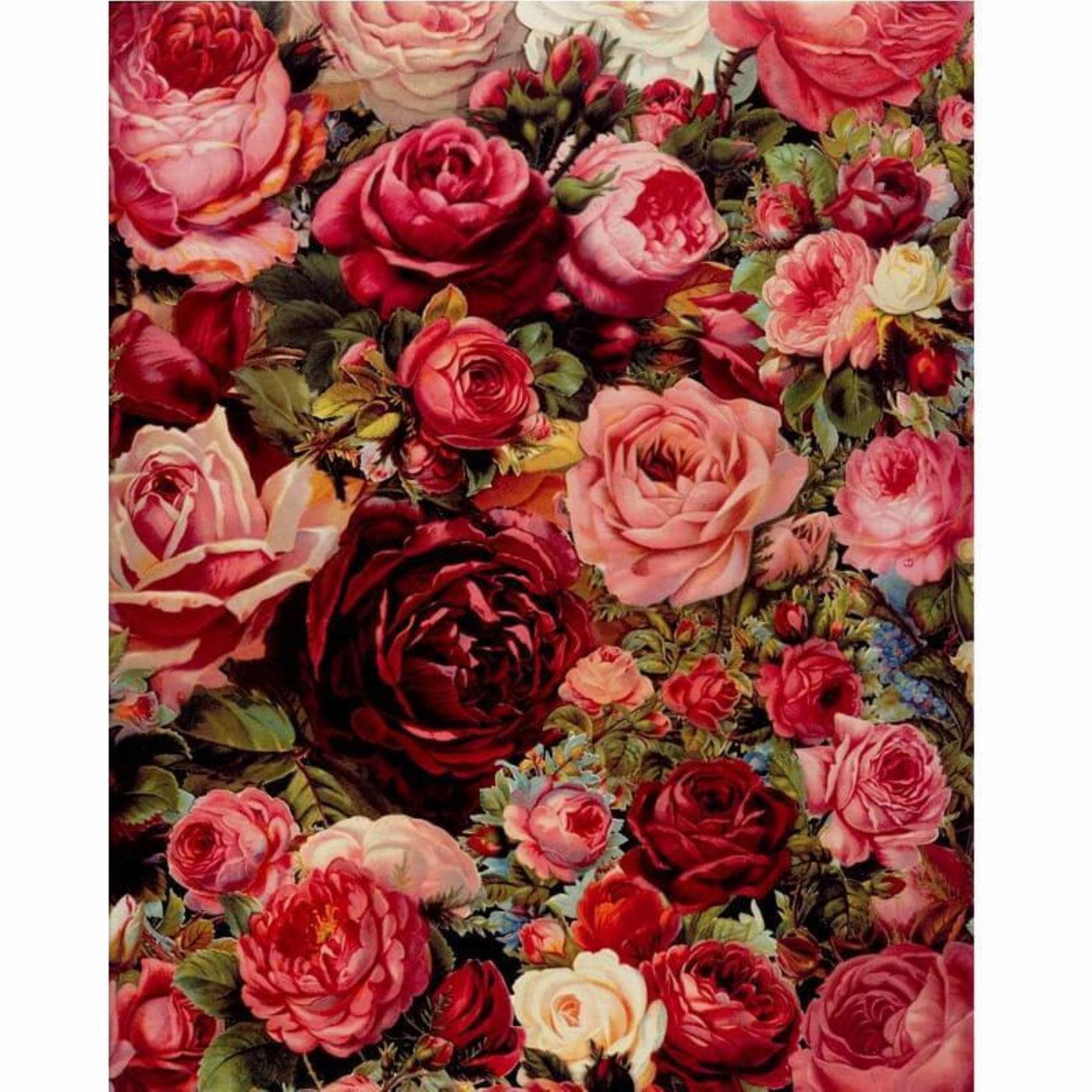 Sea of Roses | Paint by Numbers-Paint by numbers