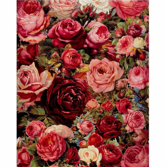 Sea of Roses | Paint by Numbers-Paint by numbers