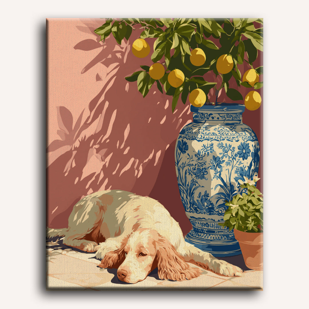 Siesta | Paint by Number
