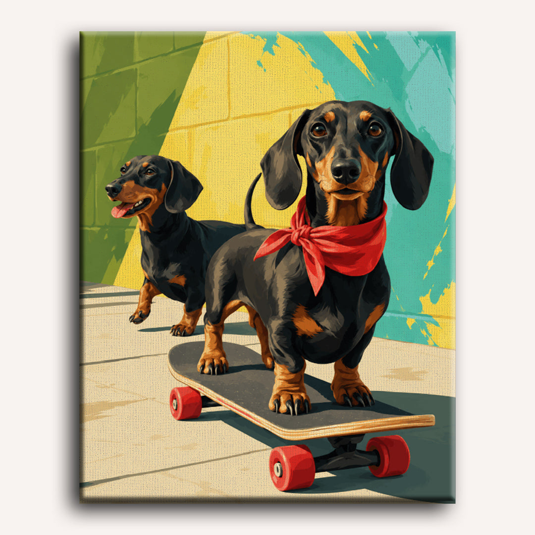 Skater Dachshund | Paint by Number