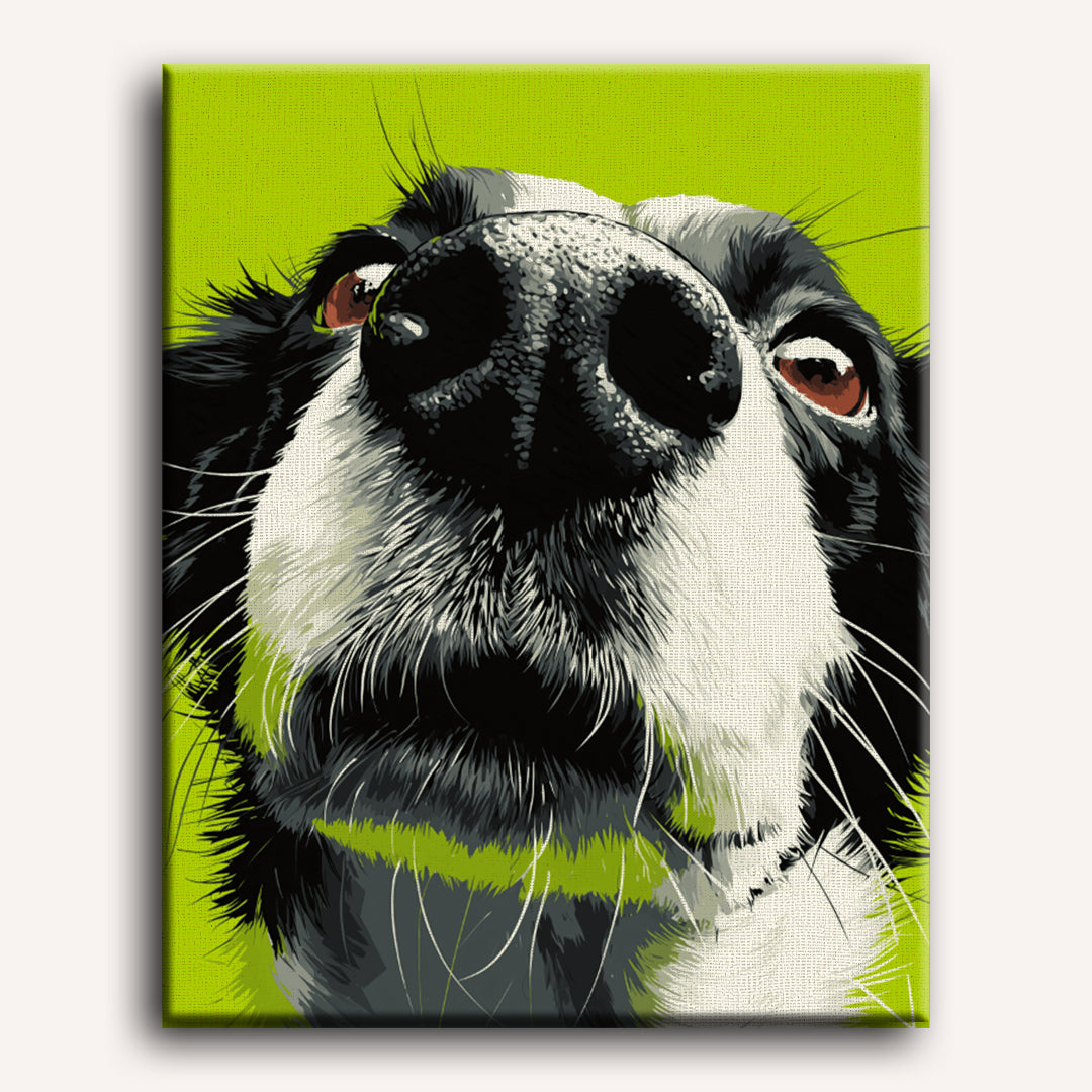 Sniff Mode | Paint by Number