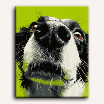 Sniff Mode | Paint by Number