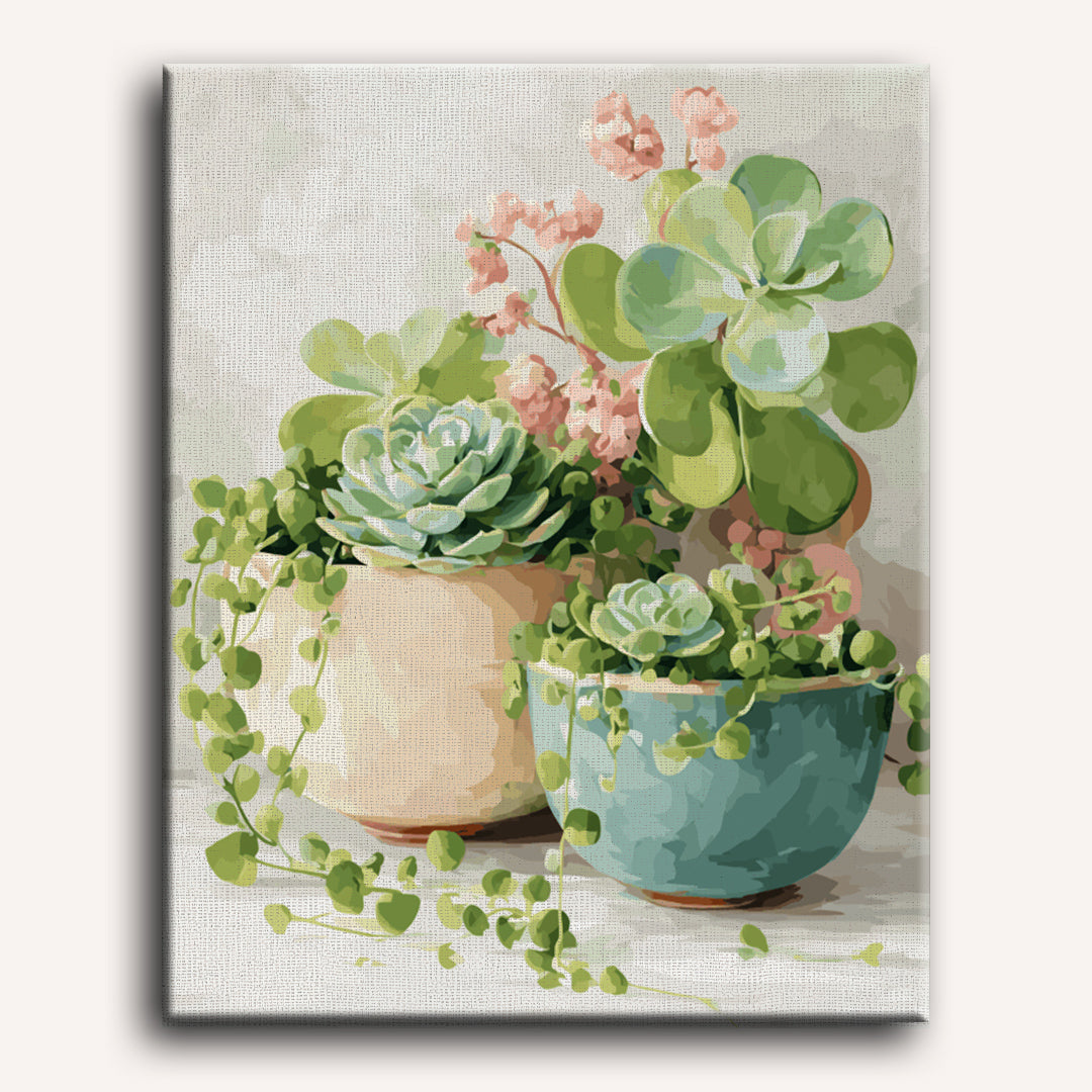 Spring Succulents | Paint by Number