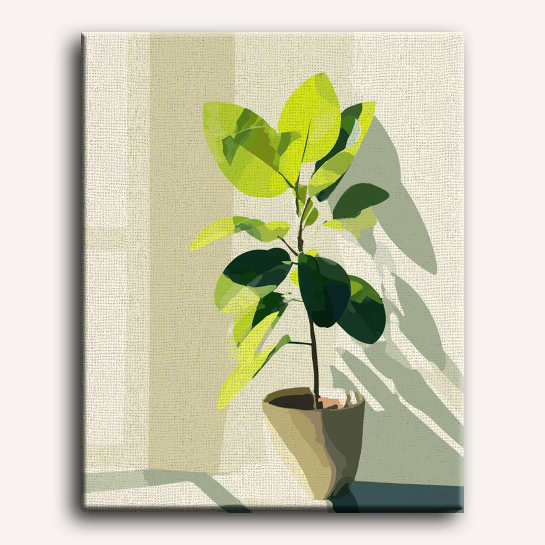 Sunlit Ficus | Paint by Number