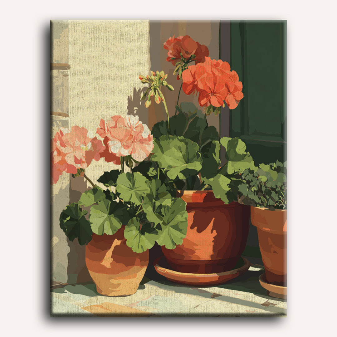 Pelargoniaer i terrakotta | Maleri etter tall