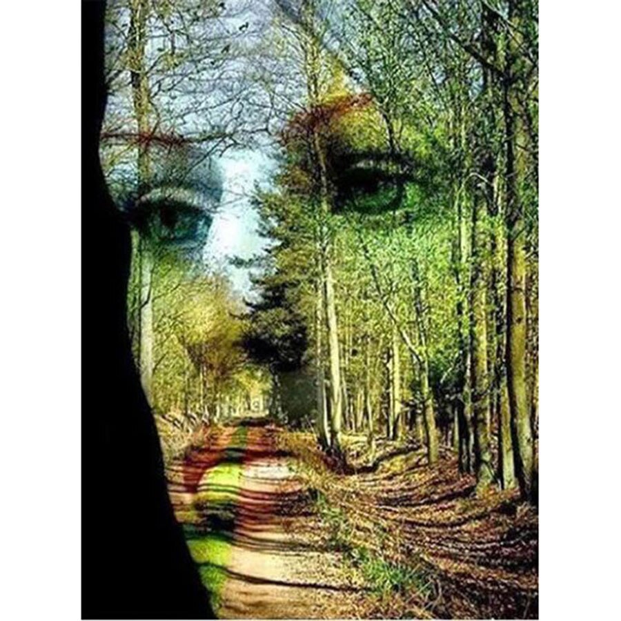 Face in the Forest - Diamond Painting