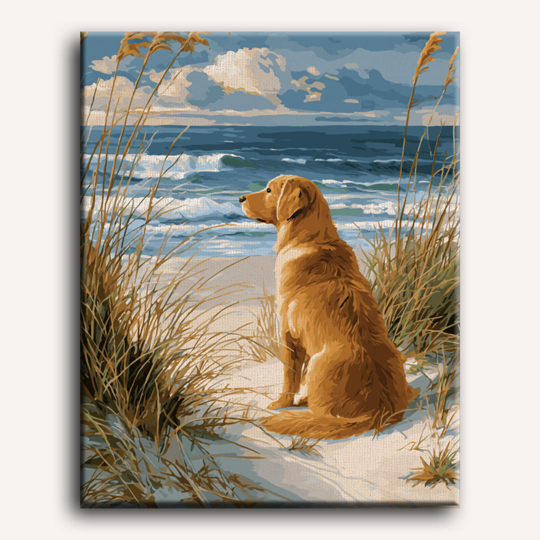 Waiting Labrador | Paint by Number