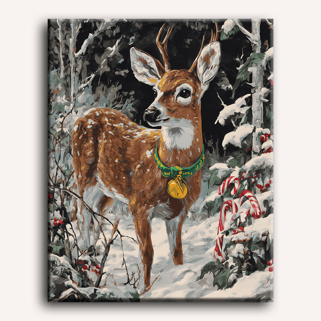 Real Rudolf | Paint by Number